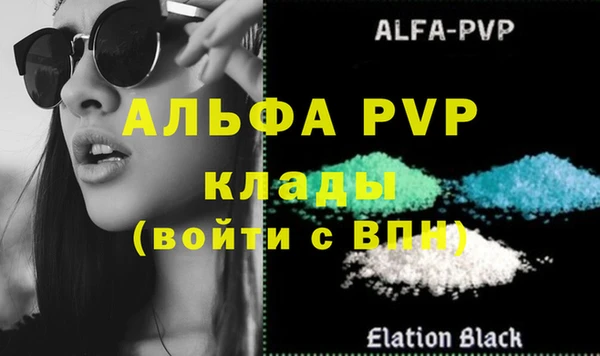 хмурый Магас