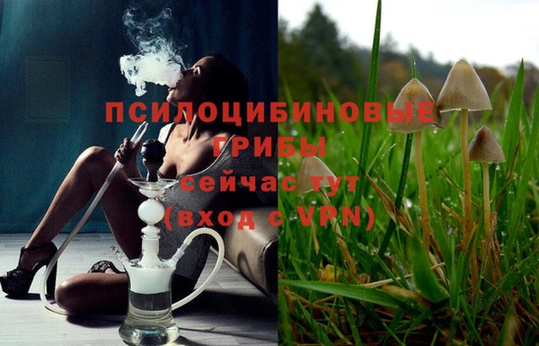 спайс Вяземский