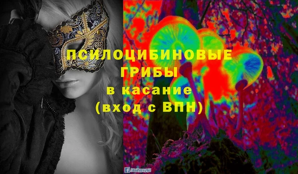 спайс Вяземский