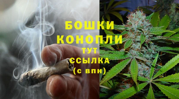 спайс Вяземский