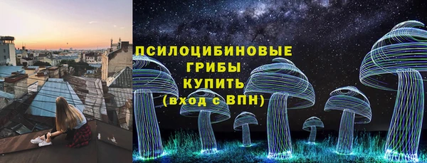 ГАЛЛЮЦИНОГЕННЫЕ ГРИБЫ Майский