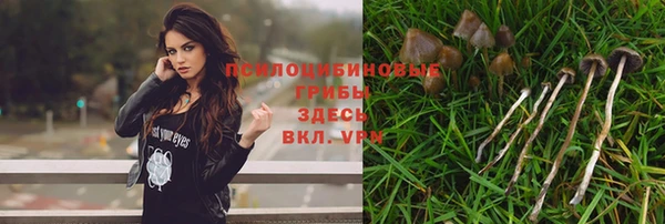 мескалин Вязники