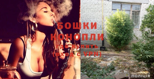 ГАЛЛЮЦИНОГЕННЫЕ ГРИБЫ Майский