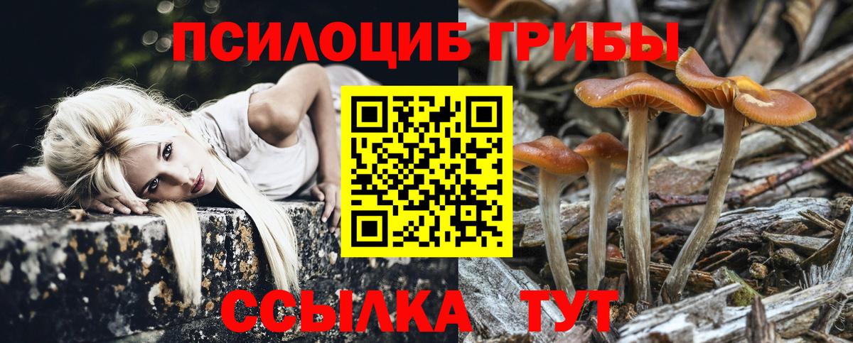 Гуково  Галлюциногенные грибы GOLDEN TEACHER  Вход с VPN  Галлюциногенные грибы мухоморы 